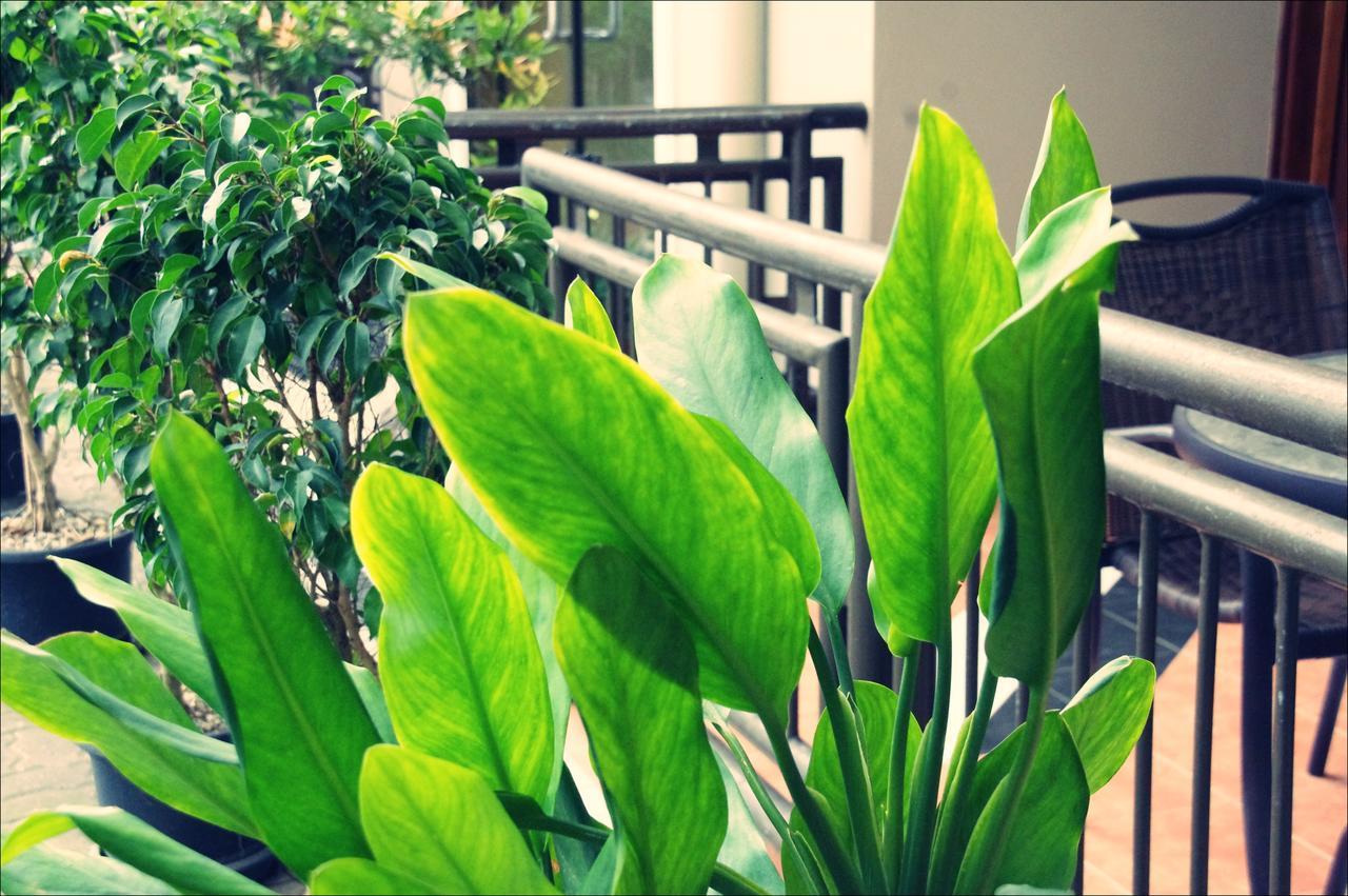 פורט מורסבי Citi Serviced Apartments & Motel - Lagatoi Place מראה חיצוני תמונה