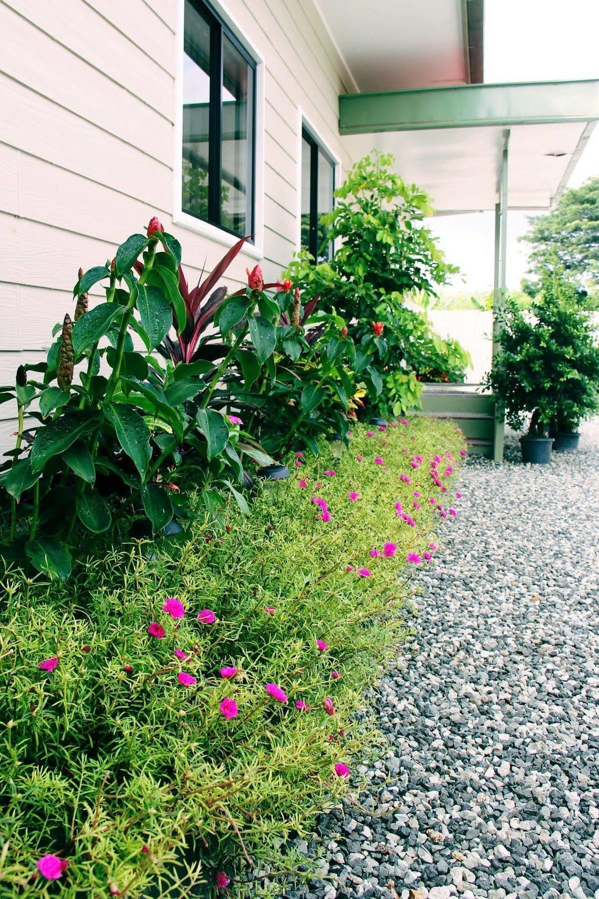 פורט מורסבי Citi Serviced Apartments & Motel - Lagatoi Place מראה חיצוני תמונה